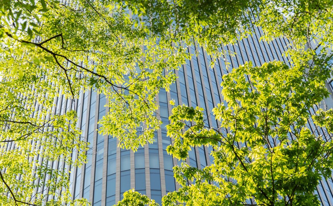Sustainable green buildings. environmentally friendly buildings